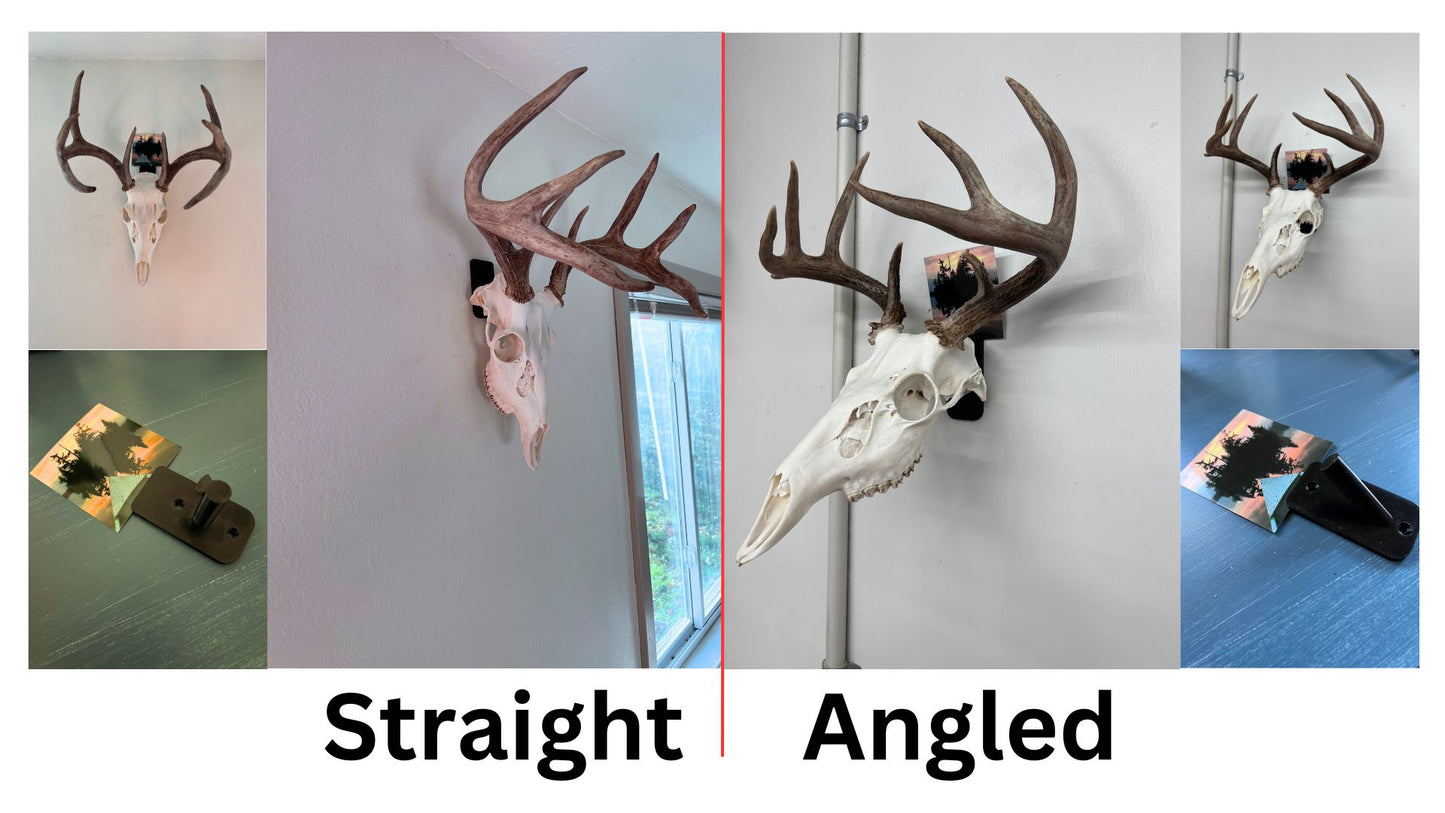European Mount Hook w/ Picture Holder